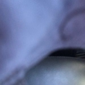 Meet your Posher, Caden